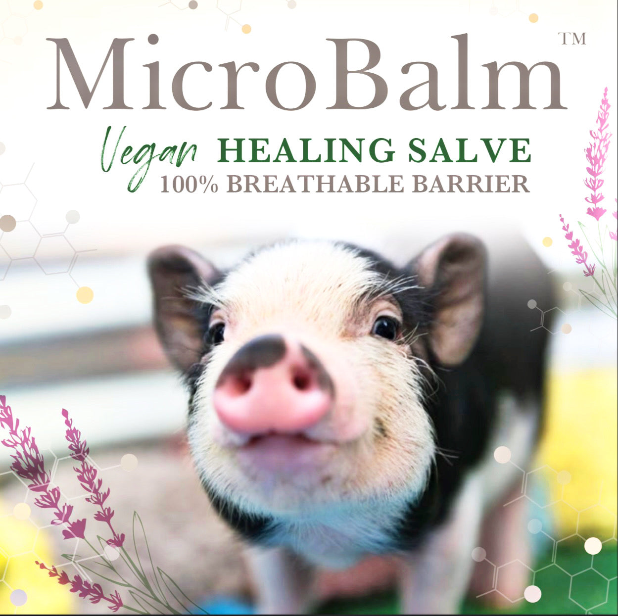 (10 Pack) MicroBalm VEGAN Pillow Packs - (5ml each) - Sampler Pack - Membrane Post Care Products Inc. (10 Pack) MicroBalm VEGAN Pillow Packs - (5ml each) - Sampler Pack - Membrane Post Care Products Inc.